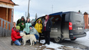Тестируем Peugeot Traveller: шесть журналистов, не считая собаки