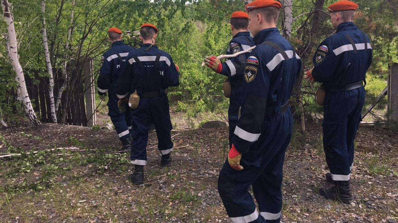 Волонтёры нашли за болотом под Рефтинским новые следы пропавшего 4-летнего Димы