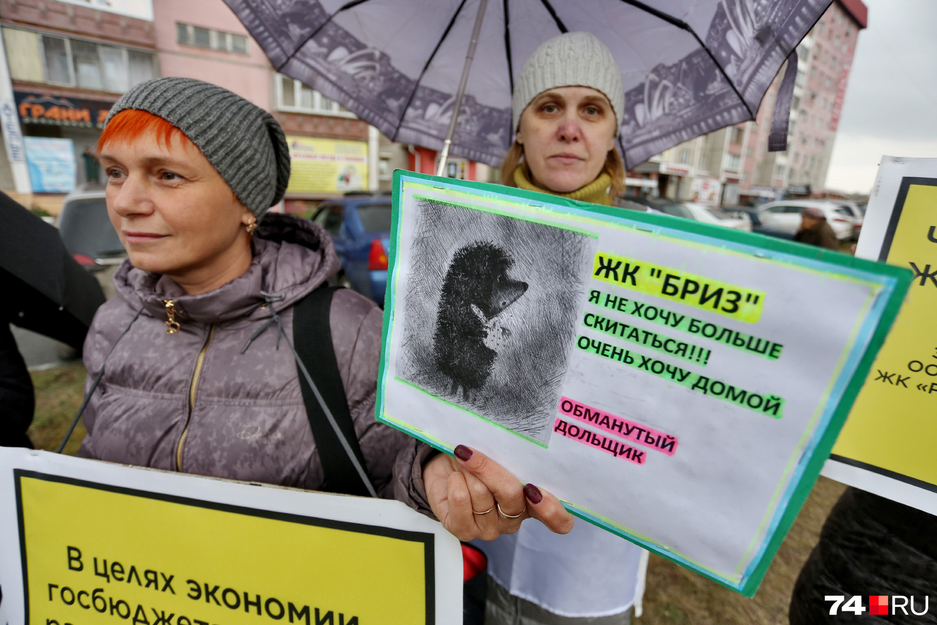 Дольщики сравнивают себя со скитающимся в тумане ёжиком Дольщики сравнивают себя со скитающимся в тумане ёжиком