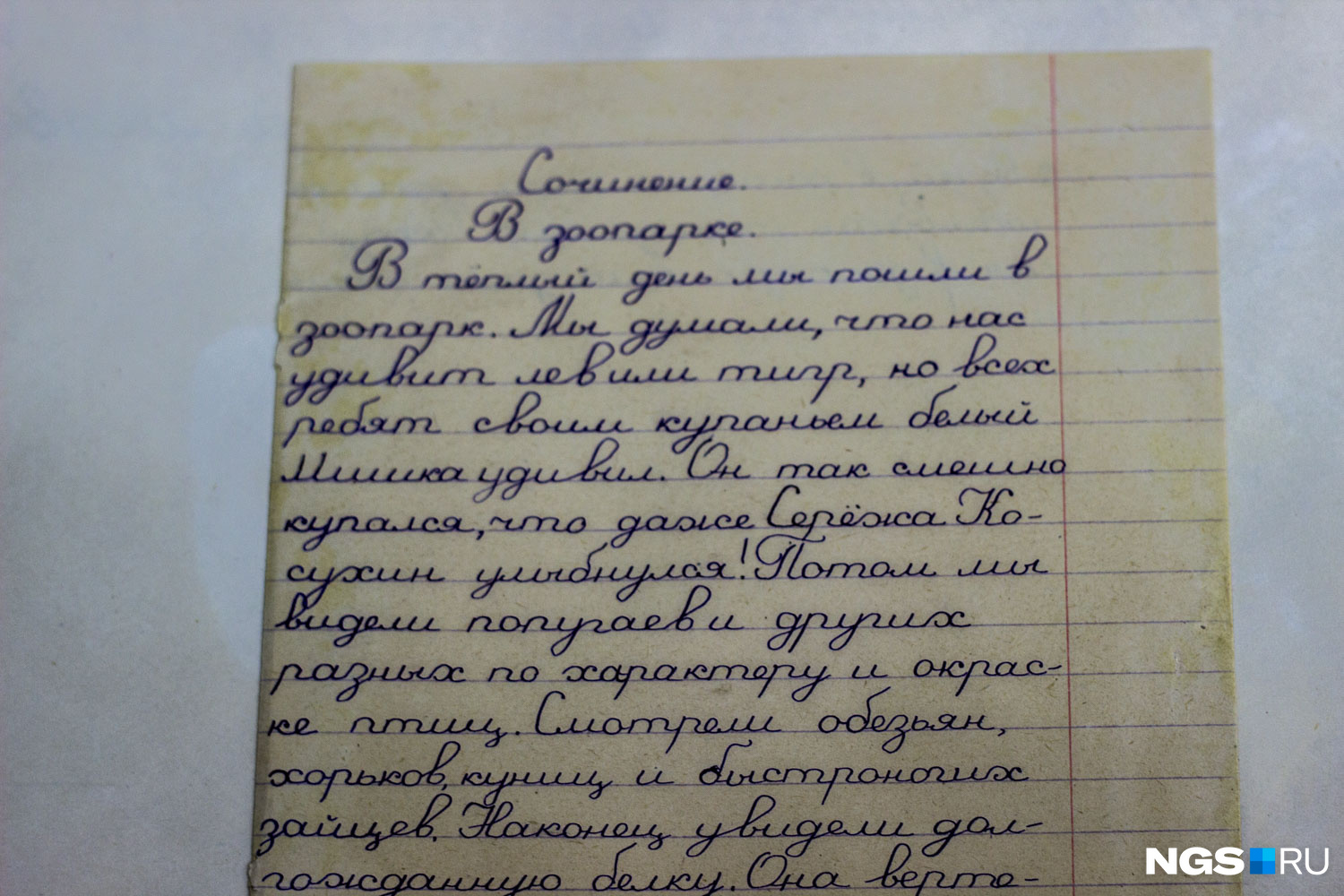 Туризм сочинение. Сочинение про зоопарк. Сочинение на тему поход в зоопарк. Сочинение на тему поездка в зоопарк. Сочинение на тему животные в зоопарке.