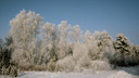 Рождественские морозы: на Южном Урале похолодает до минус 24 градусов