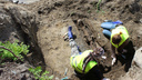 НГС выяснил, куда делись найденные за «Герцен-Плаза» скелеты