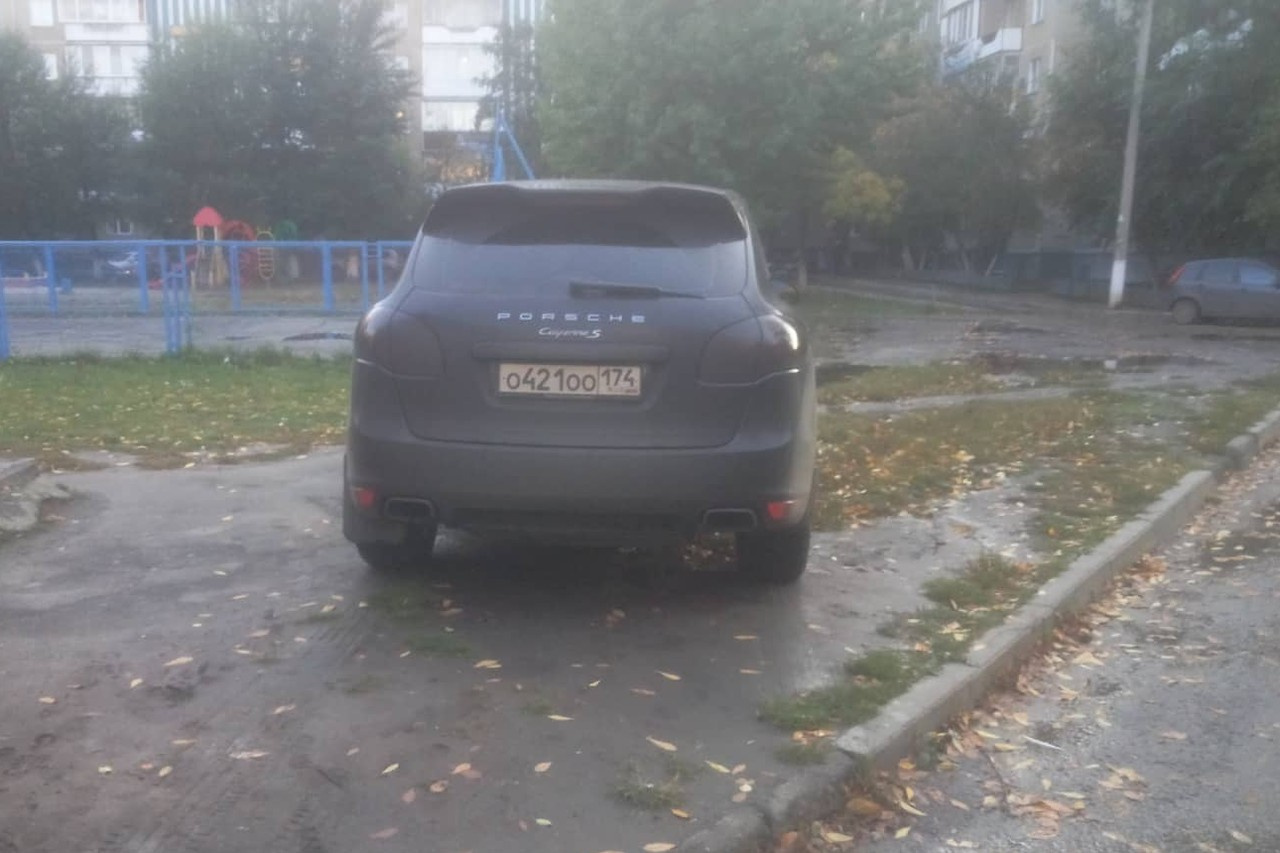 А вот его коллега на газоне А вот его коллега на газоне