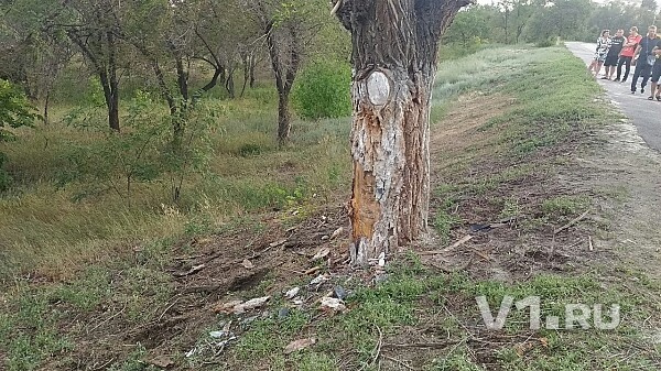 ВАЗ-2114 врезался в дерево. Погиб 40-й летний водитель и 26-летняя девушка