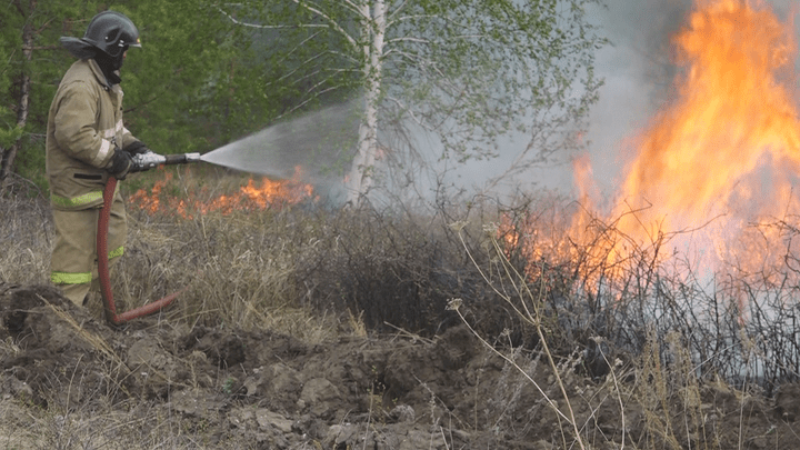 «Тушили четыре дня»: лесной пожар у детского лагеря в Челябинской области перерос в уголовное дело