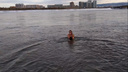 Студентка из Красноярска сняла экстремальное видео на кастинг ведущей «Орла и решки»