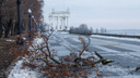 «Осталось вывезти всю грязь»: в Волгограде «расчехлили» вырубленный парк на Центральной набережной