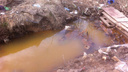 «Даём месяц, чтобы убраться»: чиновников обязали расчистить огромную свалку у реки
