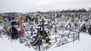 В Ярославской области двое мужчин осквернили 12 могил на кладбище