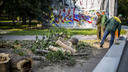 Щепки полетят: в мэрии рассказали о планах снести 162 дерева в Первомайском сквере