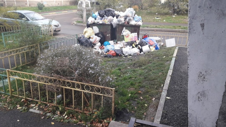 Жители Красноярска массово жалуются на УК «Новый вектор»: коммунальщики неделями не вывозят мусор