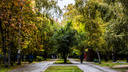 Лучшее время для селфи: в Новосибирске начали желтеть деревья