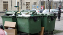 Влетит ли в копеечку: в Ростове до сих пор не установили тариф для «мусорной реформы»
