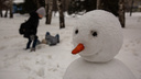 Февраль вжарил: новосибирцы налепили снеговиков в парках и утонули в грязевых потоках