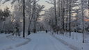 В Омске начнёт холодать с начала недели