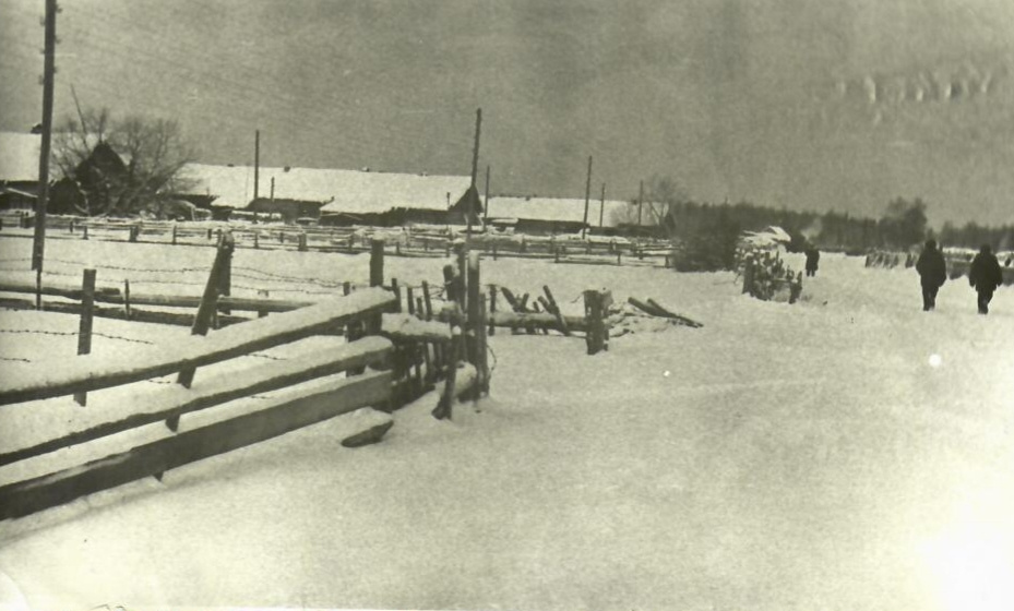 1960 деревня. довоенная деревня. деревня безденежные кировская область. советская деревня. история одной деревни.