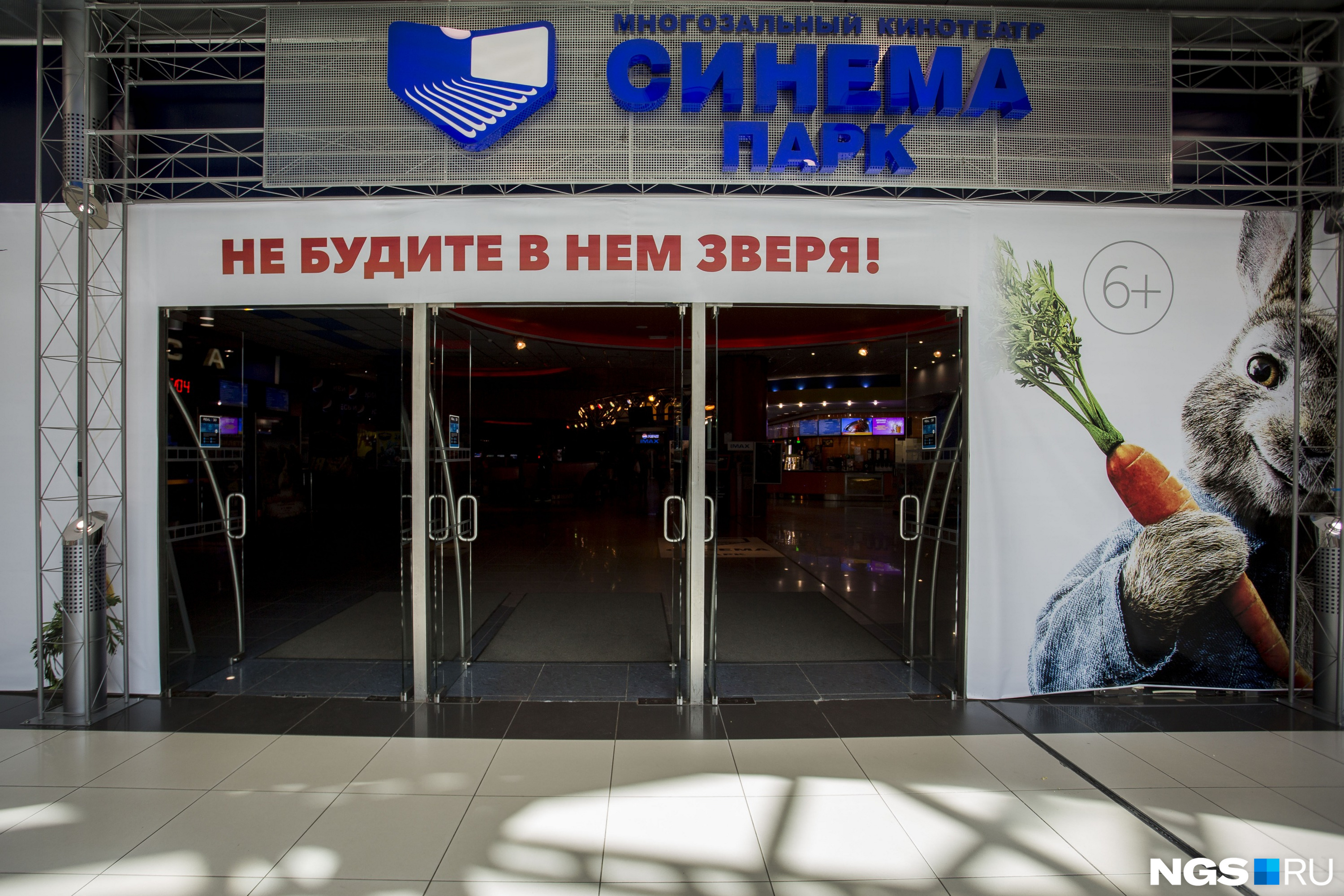 В Новосибирске 40 кинозалов сети, отметила Александра Артамонова 