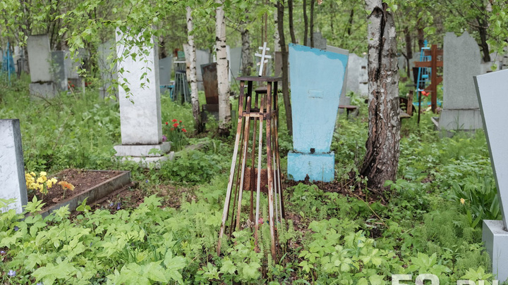Расширят на 30 гектаров: в Перми в 2019 году реконструируют самое большое городское кладбище