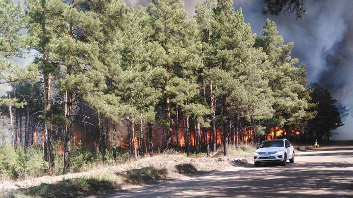 В Красноярске изобрели способ следить за лесными пожарами через смартфон