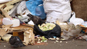 «Внимательно следите за счетами»: челябинцев предупредили об изменениях, связанных с вывозом мусора