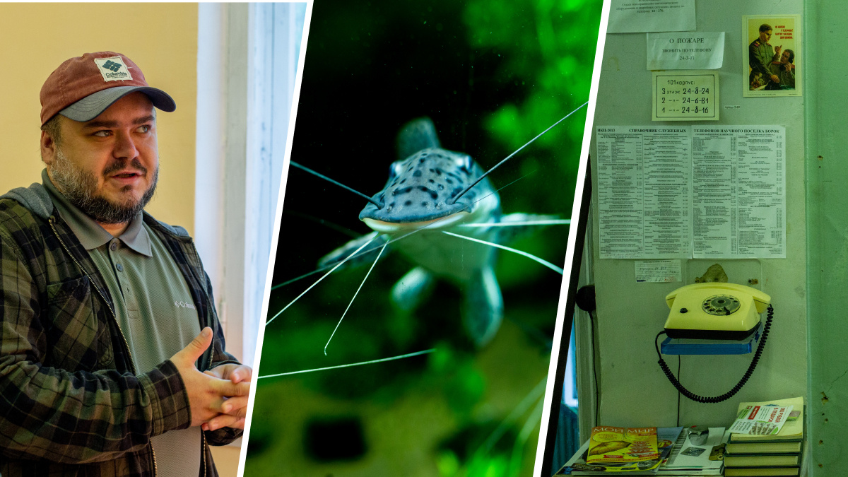 Кто завёз в Волгу медуз и креветок: под Ярославлем учёные открывают подводные тайны планеты