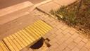 «Ловушка для зазевавшихся»: на Мехзаводе возле Московского шоссе обвалилась плитка