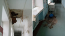В самарском противотуберкулезном диспансере имени Постникова рухнул потолок
