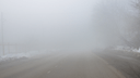 «Объявили желтый уровень опасности»: в Самарской области на дорогах сохранится туман