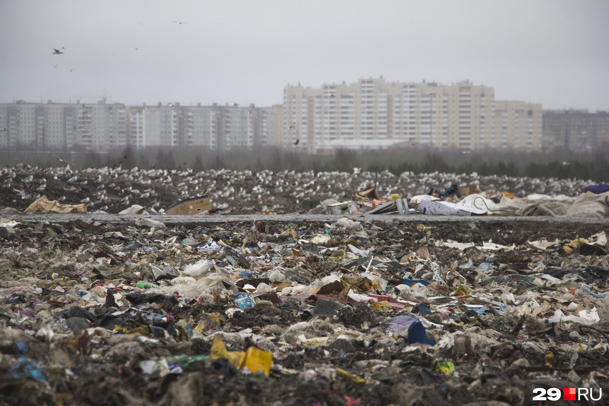 мусорная свалка в москве