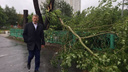 Глава Архангельска попросил горожан помочь ликвидировать последствия шторма