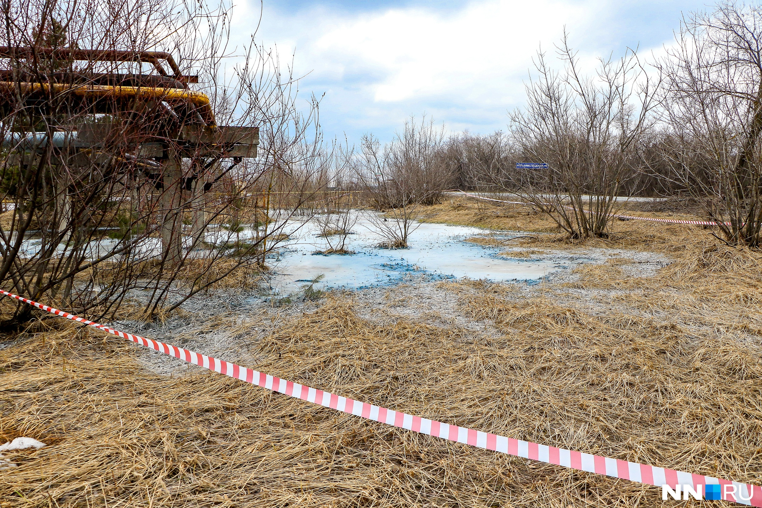 дача на заболоченном участке. лужи на участке. отель который топит каждую весну. заливала землю талая. затопленный поселок.