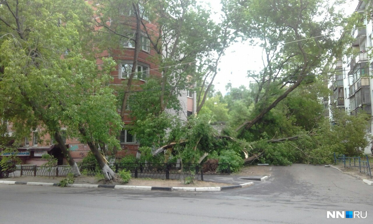 Максима Горького, 163 Максима Горького, 163
