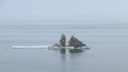 В Самаре от берега оторвалась прорубь местных «моржей»