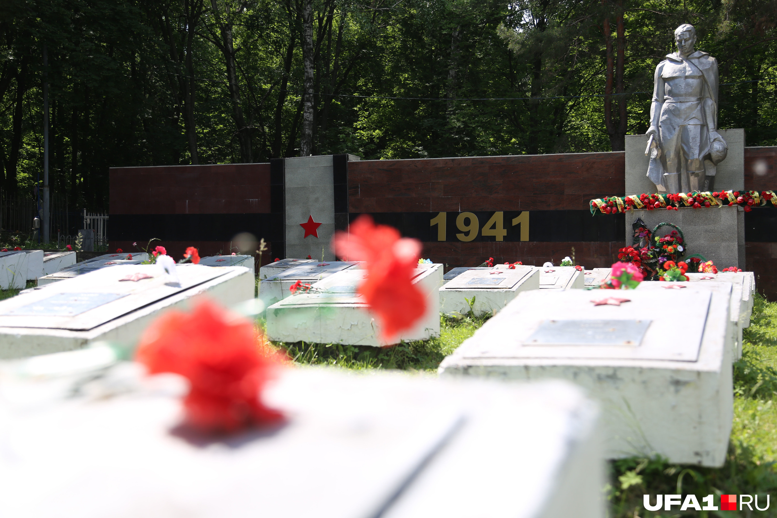 Завтра, 22 июня, поисковики зачитают вслух имена тех, кто погиб за свободу Отчизны Завтра, 22 июня, поисковики зачитают вслух имена тех, кто погиб за свободу Отчизны