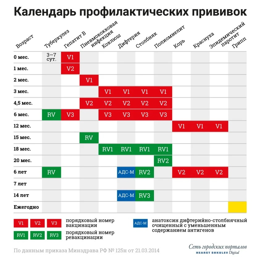 Календарь профилактических прививок для детей на 2019 год - 30 августа 2019  - 29.ru