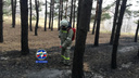 В Октябрьском районе загорелся лес: на месте работали спасатели