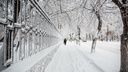 Готовьте лопаты: на Новосибирск надвигается волна метелей и снегопадов