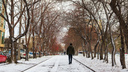 Самый поздний первый снег за последние годы: вспоминаем, когда обычно наступала зима в Новосибирске