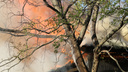Экстренное предупреждение: с 3 по 5 августа в Нижегородской области вероятны пожары