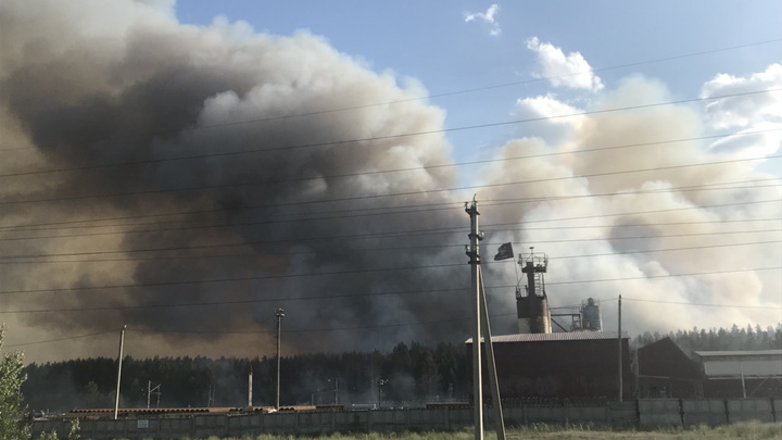 «Дым стоял стеной!»: в районе железнодорожной станции Курумоч горел лес на площади 15 га
