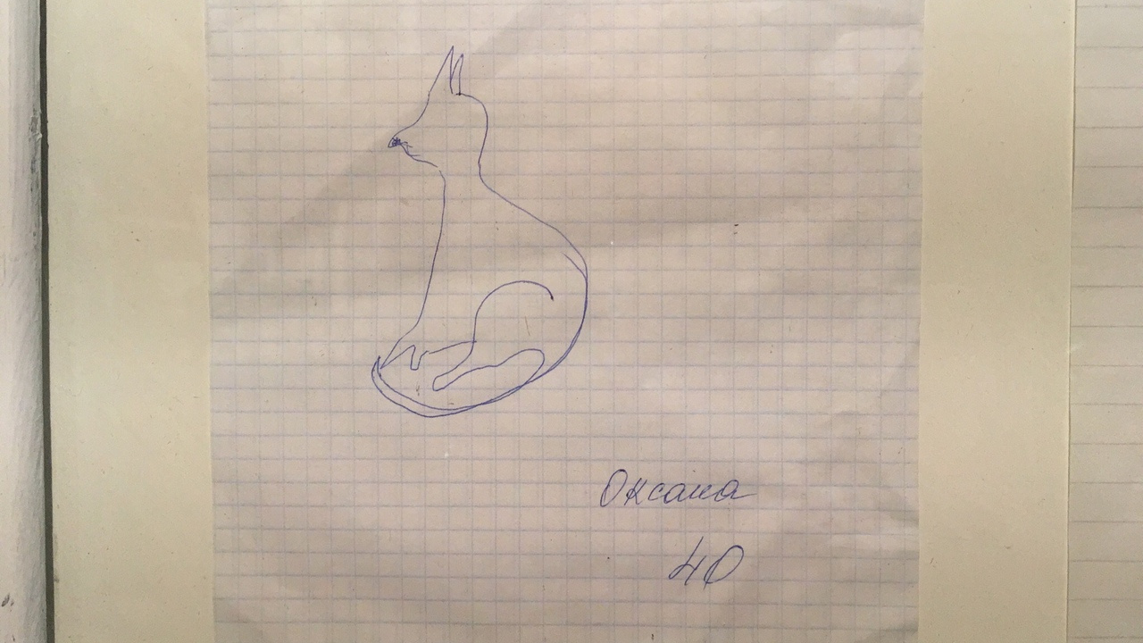 Оксана Фадина нарисовала кошку. Она напомнила рисунок Путина, но сбоку