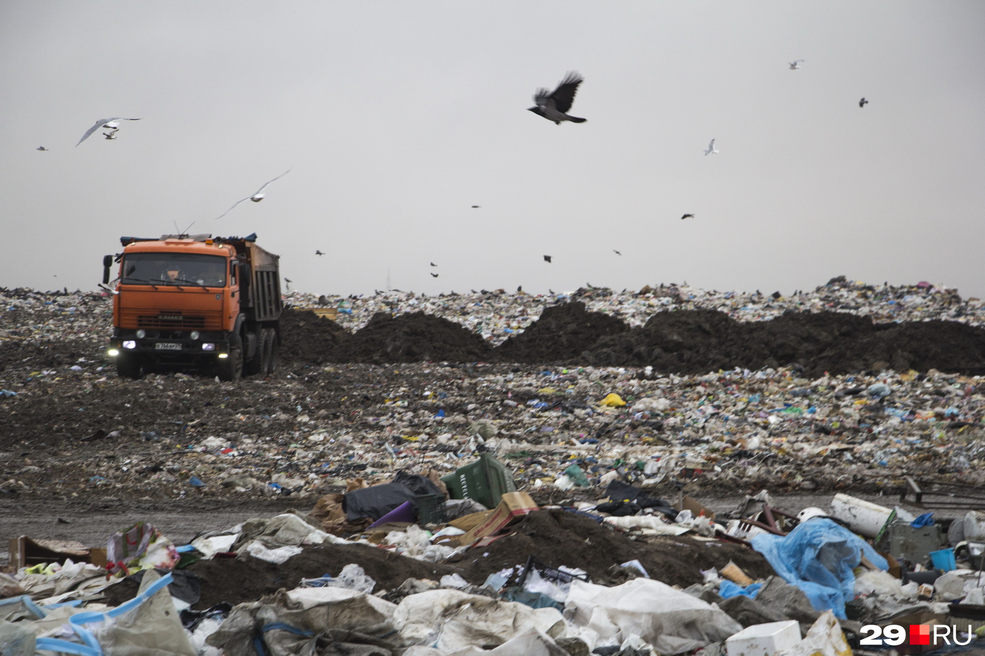 Москвичи каждый год выбрасывают почти 8 миллионов тонн бытового мусора и еще 2,4 миллиона тонн крупногабаритных отходов (старая мебель, бытовая техника, мусор после ремонта квартир)