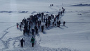 Палки в руки — и вперёд: 160 сибиряков три дня идут на лыжах вдоль Обского моря