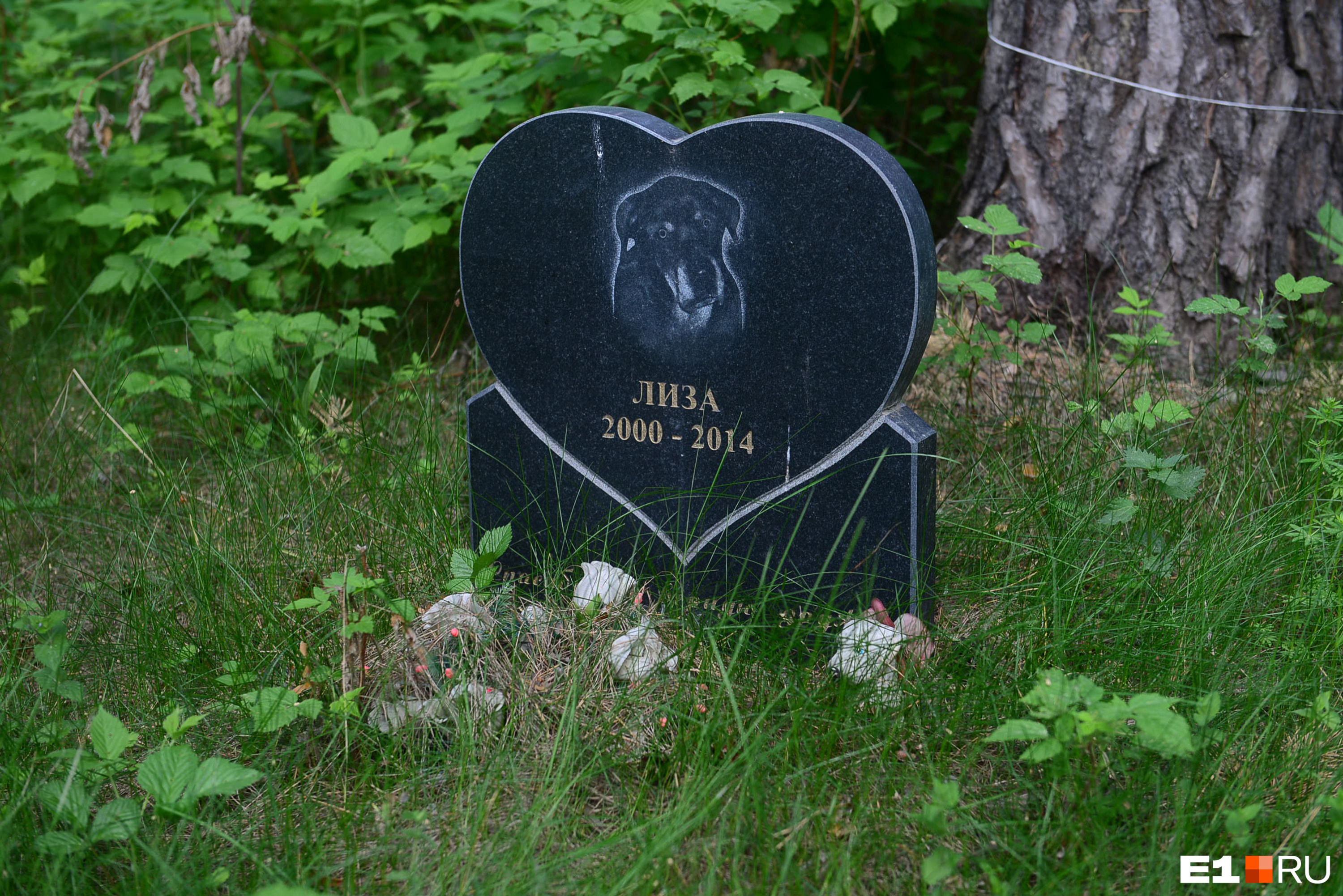 Кладбище домашних животных могилы