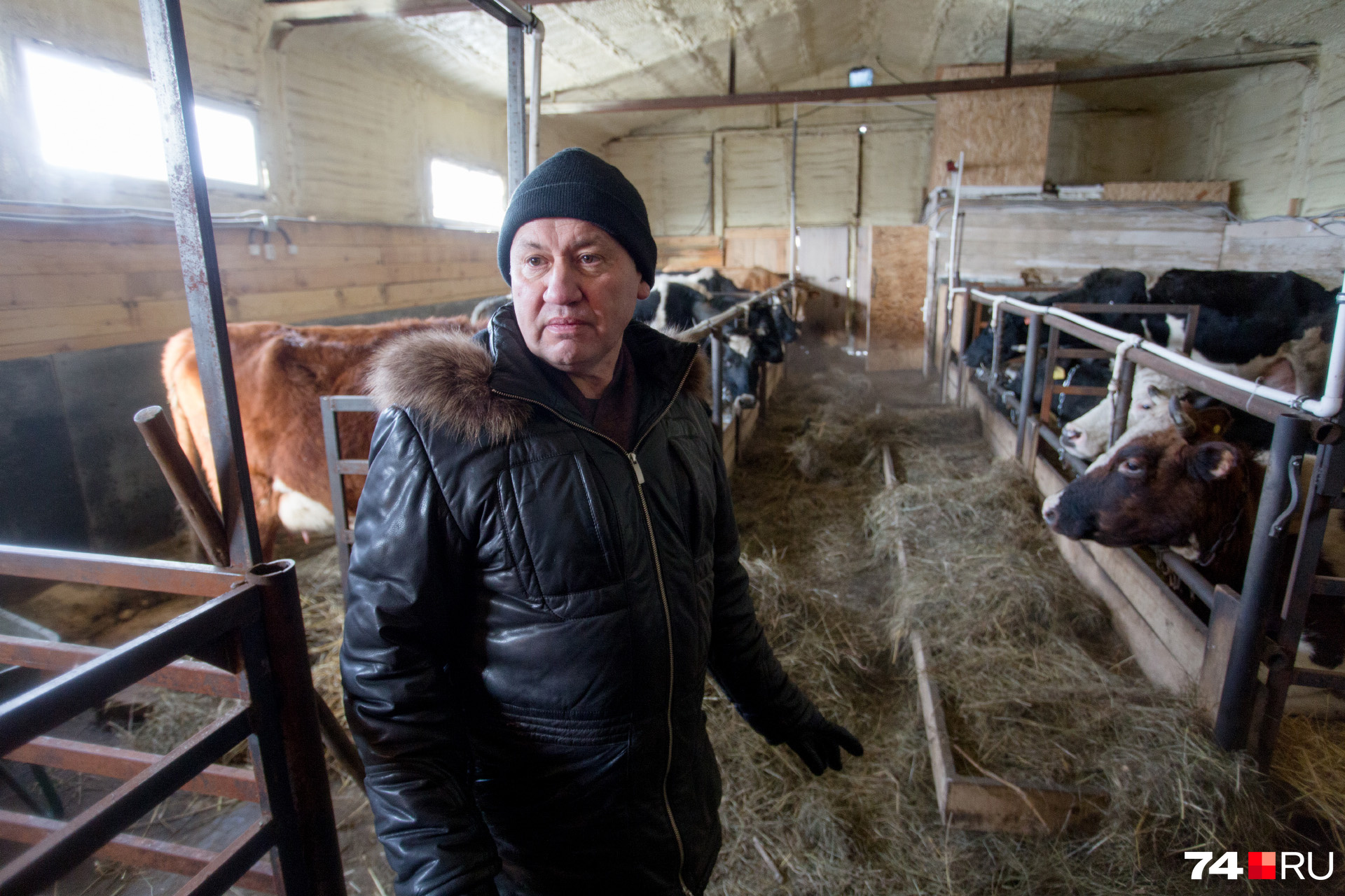 В Камиле сошлись два начала: с одной стороны, он председатель совета директоров интернет-компании, с другой, — не забыл вкуса сельской жизни В Камиле сошлись два начала: с одной стороны, он председатель совета директоров интернет-компании, с другой, — не забыл вкуса сельской жизни
