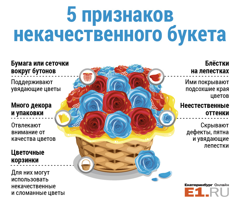 Наша шпаргалка вам в помощь — чтобы хитрый продавец не подсунул плохой товар