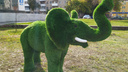 В центре Кургана появился вечнозеленый слон