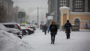 Синоптики ждут порывов ветра до 23 м/с: к Новосибирской области приближается циклон