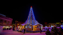 Власти заказали новогоднюю ёлку на площадь Ленина — она появится уже через месяц