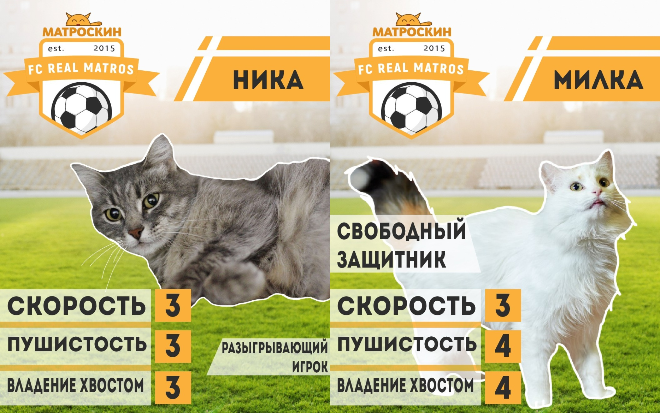 Адреса приютов пермь